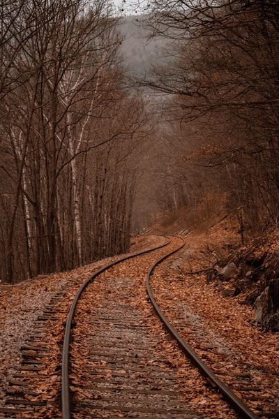 森林间火车轨道景观摄影